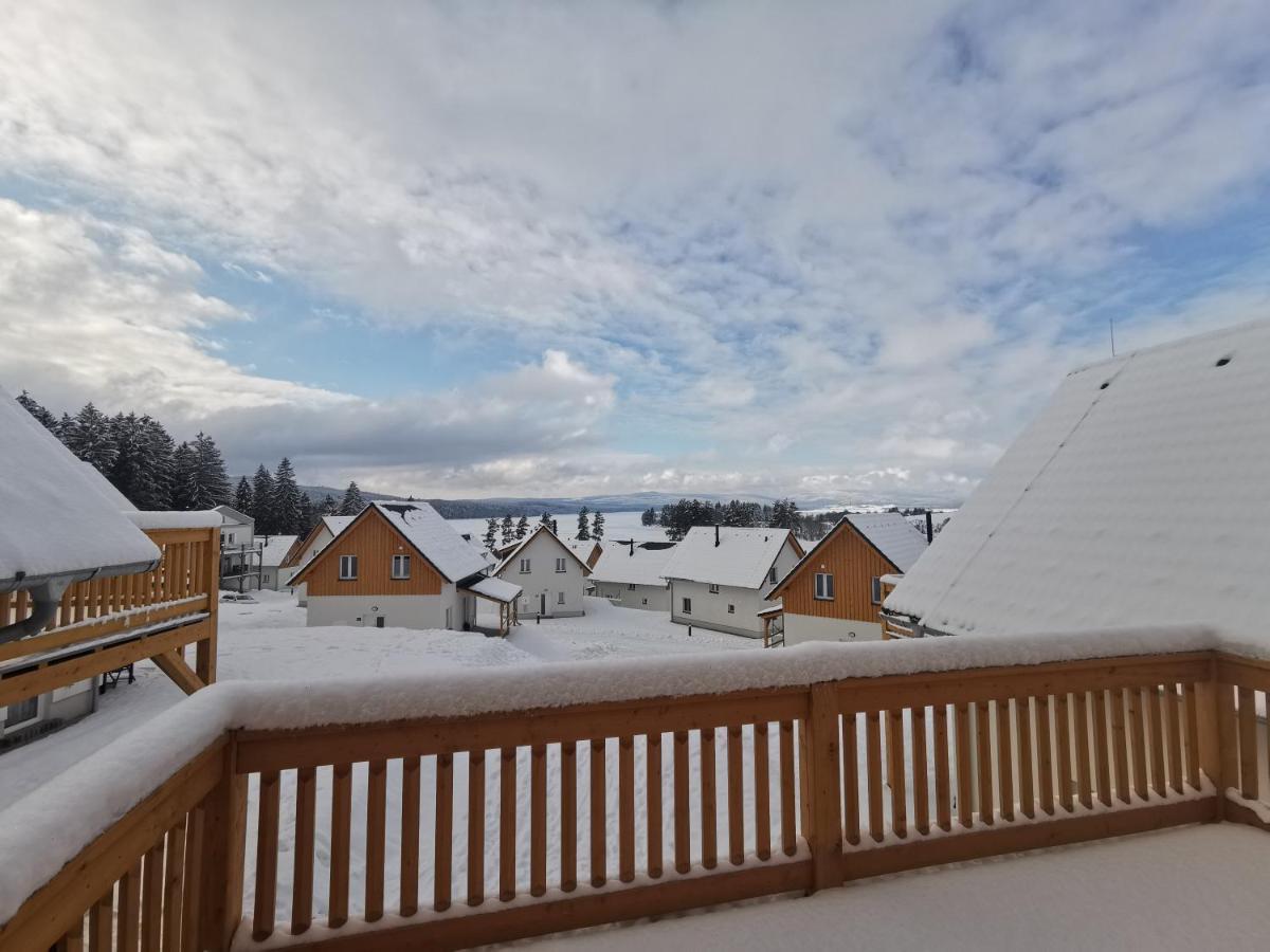Lipno-lake Frymburk nad Vltavou