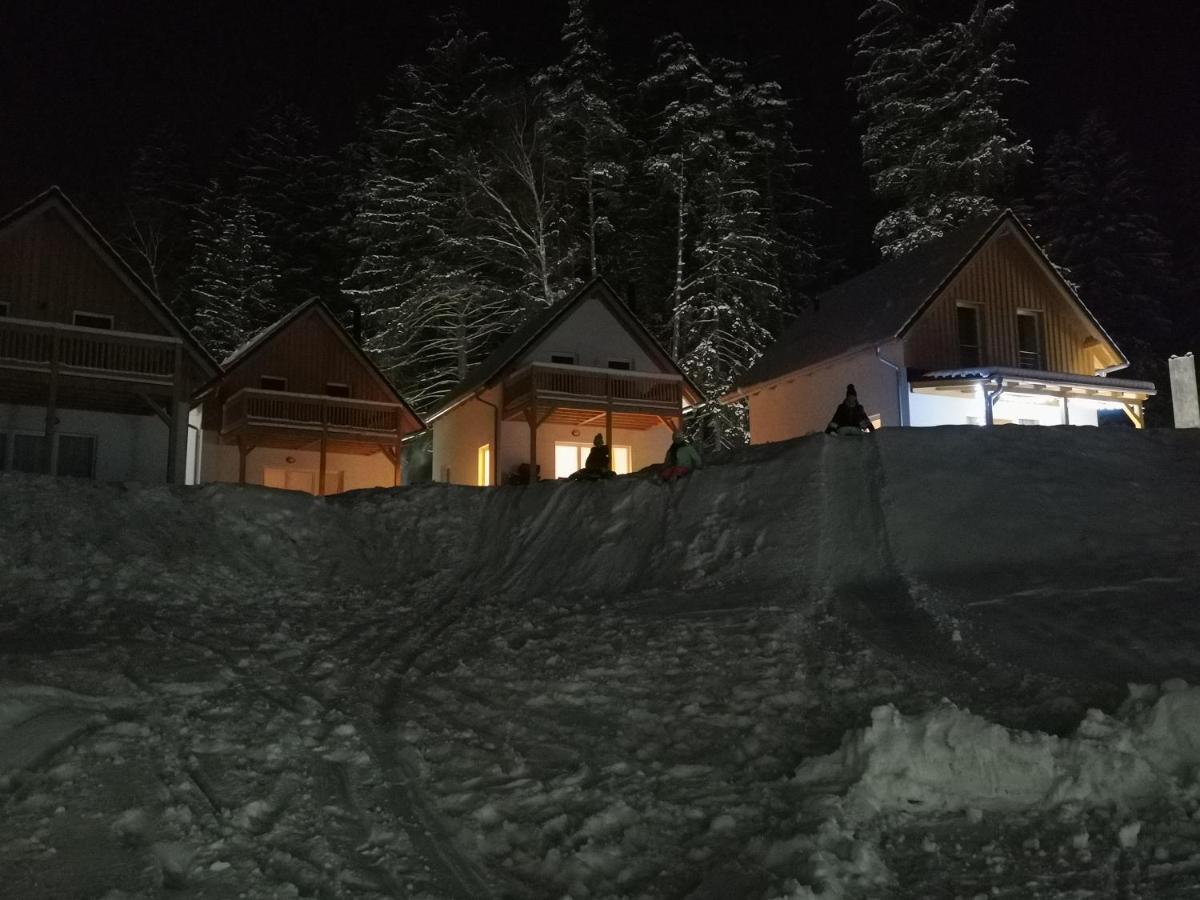 Ferienhaus Lipno-lake Frymburk nad Vltavou